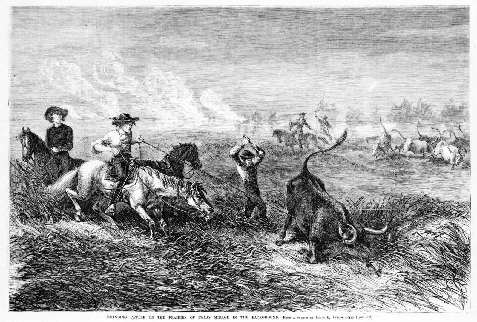 Texas Cattle Ranching and Y.O. Steakhouse