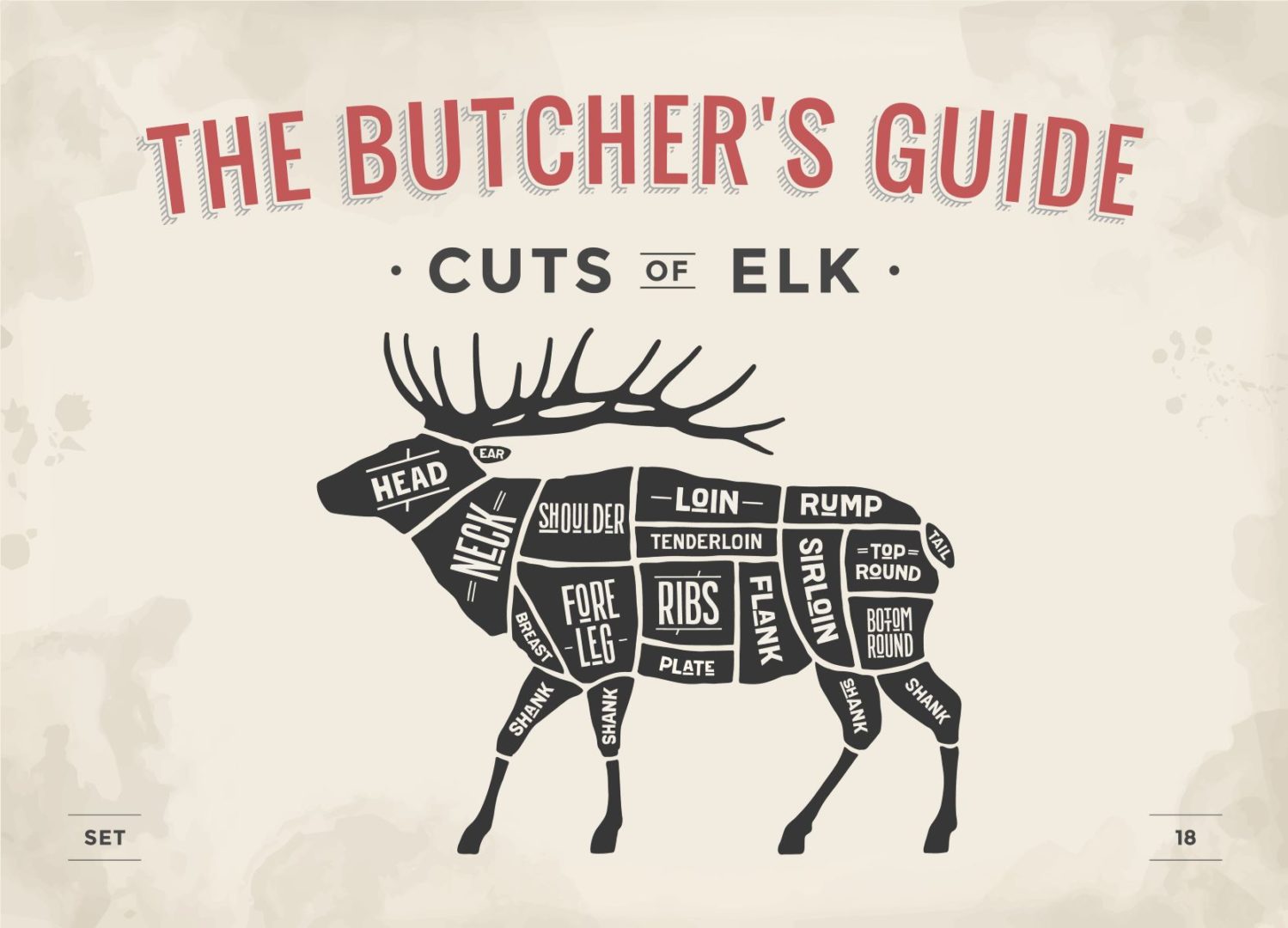 Cuts of elk meat